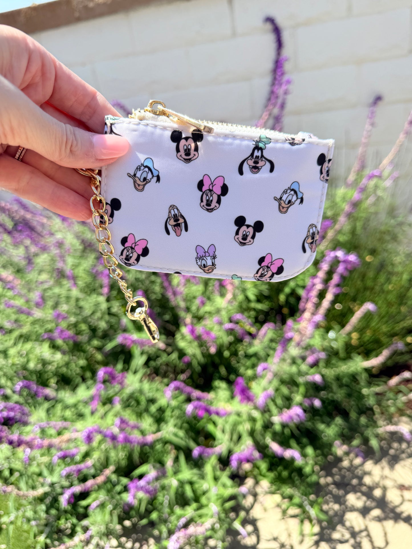 Magical Friends Coin Card Purse